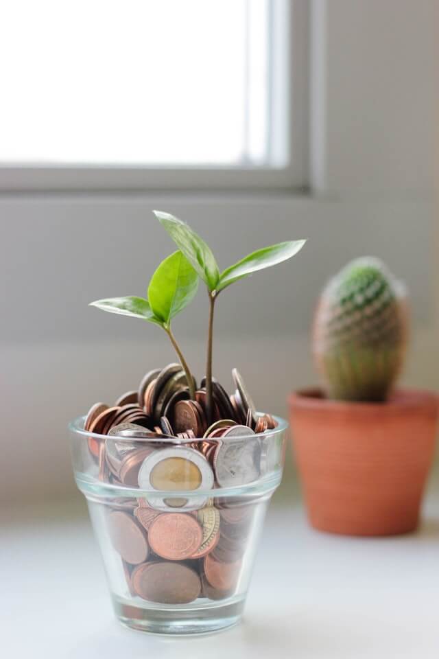 Early Money Choices I Made: That Still Help me Today the feel good moments plant growing from coins in pot. 