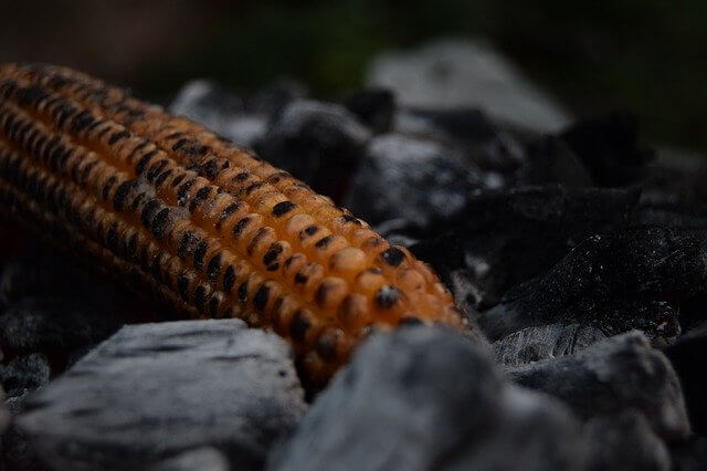 corn on the cob roasted corn butta Barish and Bhajjis. And Other Monsoon Foods we Love the feel good moments