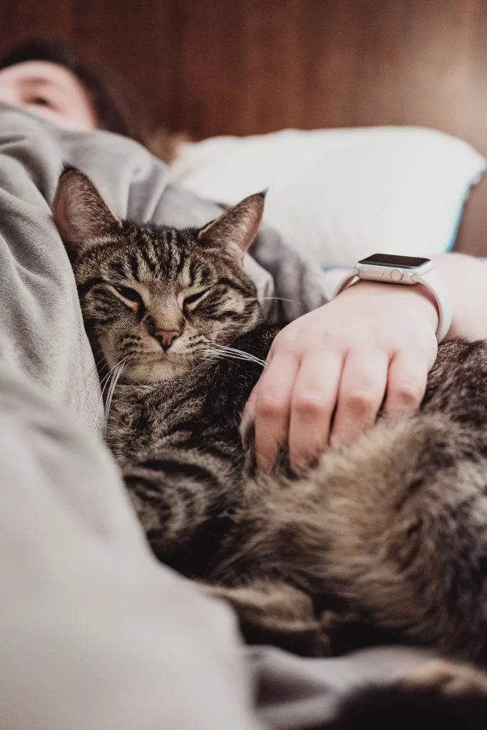 9 Signs To Go On a Much-Deserved Feel-Good Vacation no sleep cat person