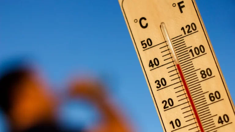 How to Stay Cool in the Summer